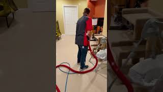 Red Carpet Treatment #carpetcleaning #carpetcleaningservice