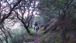 RUTA CAUREL NORTE. Desde Brañas a Seoane do Caurel, en 2 días. 56 km. Ruta subida en Wikiloc.