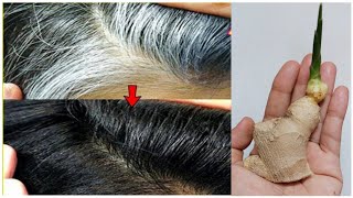Gray Hair Turn To Black Hair Naturally Permanently with Ginger | White hair natural dye in 6 minutes