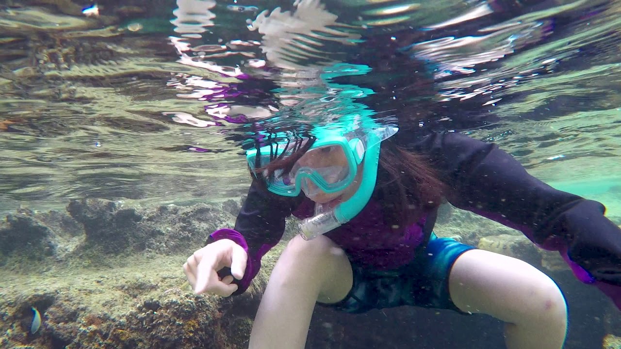 Snorkling in Okinawa YouTube
