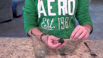 Center of Gravity Experiment