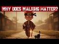 Walking Is the Only Exercise Your Body Was Actually Designed For — The Japanese Secret