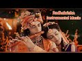 Radhakrishn  instrumental music  surya raj kamal