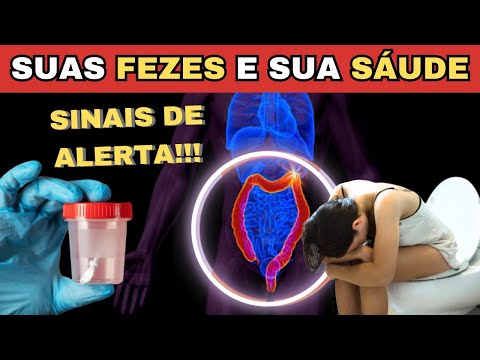 O que suas