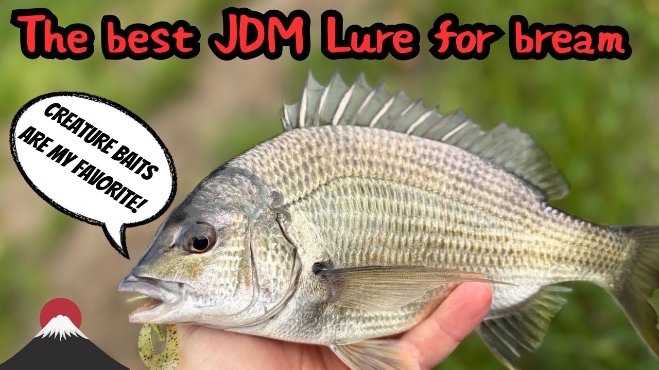 Japan tackle shop and bream fishing
