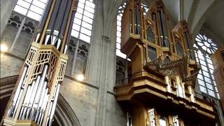 Cathedral of Saint Michael and Saint Gudula, Brussels