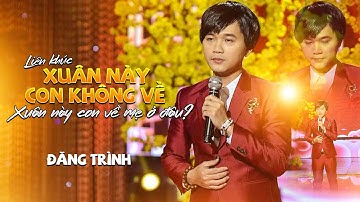 Lk: Xuân Này Con Không Về - Xuân Này Con Về Mẹ Ở Đâu (Trịnh Lâm Ngân) | Đăng Trình | Nhạc Xuân 2023