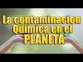 La contaminacion química y como afecta al medio ambiente - Jesus Soto - Proyecto Cetmar 33