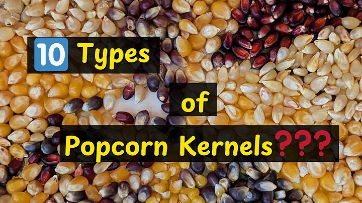 I Tried 10 Different Types of Popcorn Kernels! Can You Tell the Difference?