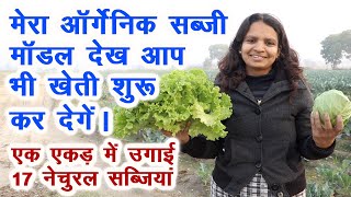 दिल्ली की टीचर का आर्गेनिक सब्जी माडल जरूर देखिए organic vegetables farming, urban farming model