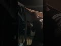 How to catch a spider by spinning a stick Shocking the girls &amp; ￼ scaring￼ the crap out of them funny