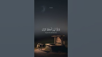 الشيخ سيد سعيد سورة يوسف#قرآن