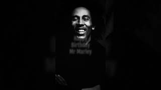 Mr Marley Mr Marley