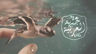Soufien Dridi - Saydim Turkish Trap Remix