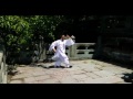 Wu Dang Quan 18 武当拳18式 Xu Wei Han