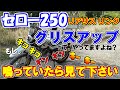 セロー250リアサスリンク廻りグリスアップHow To Service Your Swingarm and Suspension-Linkage Pivots Yamaha XT250 トリッカー