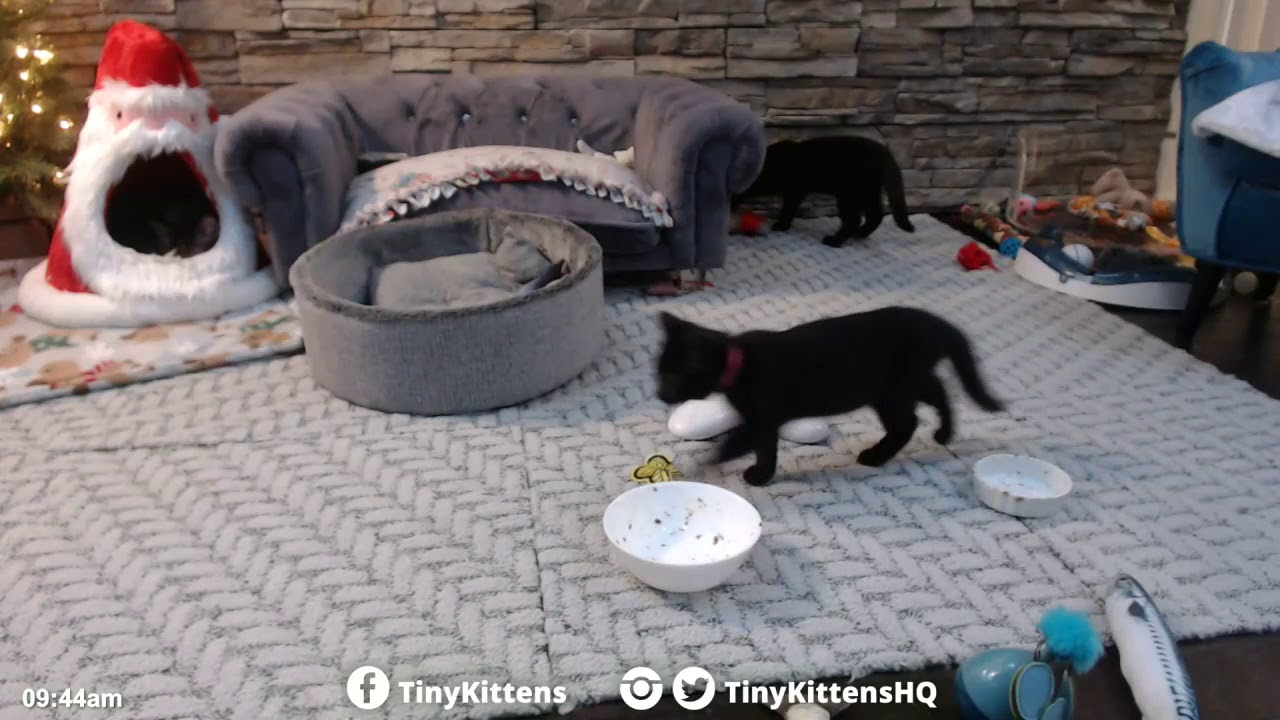 TKmain 12 06 2018  12 37 to 15 36