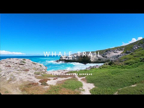 Exploring the Scenic Whale Trail: A Breathtaking Coastal Hike Adventure