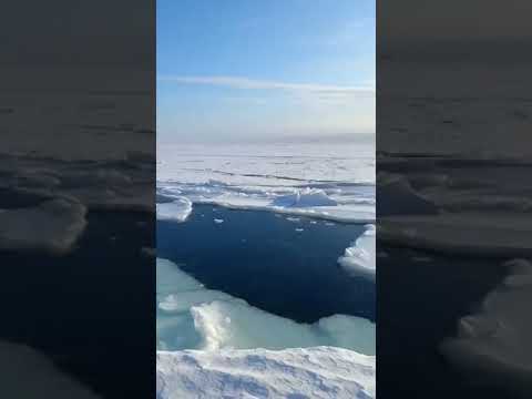 На Сахалине 18 рыбаков-любителей застряли на льдине, которая оторвалась от берега