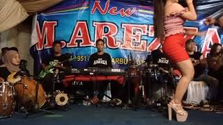 Download Lagu Dini Elsia ft New M.Arezza-Gerajakan Banyuwangi MP3