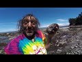Epic Canadian Ammonite Looks like Skippy Lol