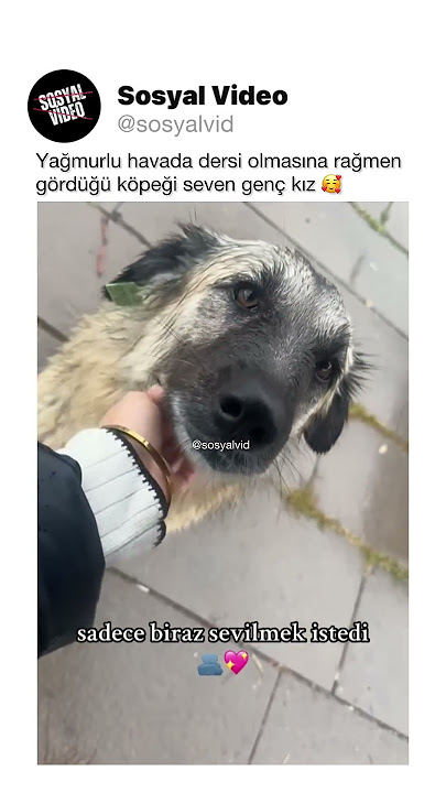 Bi porno yosh yigitlar