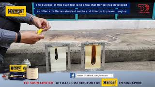 HengestFlameTestV1