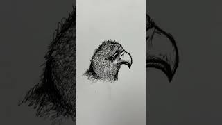 The original ugly duckling  #artist #drawing #art #artwork