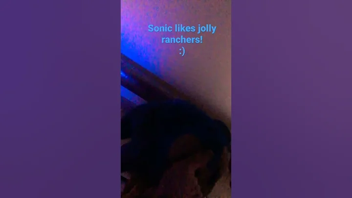 Sonic is jolly