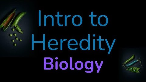 Intro to Genetics & Heredity - Biology, Living Environment