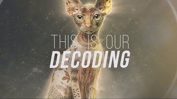 The Voynich Code - Decoding of Life (Official Lyric Video)