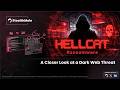 [StealthMole Webinar] The Network Behind HellCat Ransomware