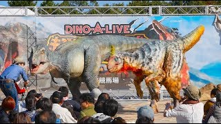 Super Dinosaur Experience DINOALIVE Chukyo Racecourse Returns Silence Suzuka Square 10:15