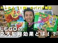 【おうち時間を使って】娘とLEGO DUPLOで遊んでみた