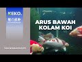 ARUS BAWAH KOLAM KOI | Penting Ga Sih? | Tutorial Kolam Koi