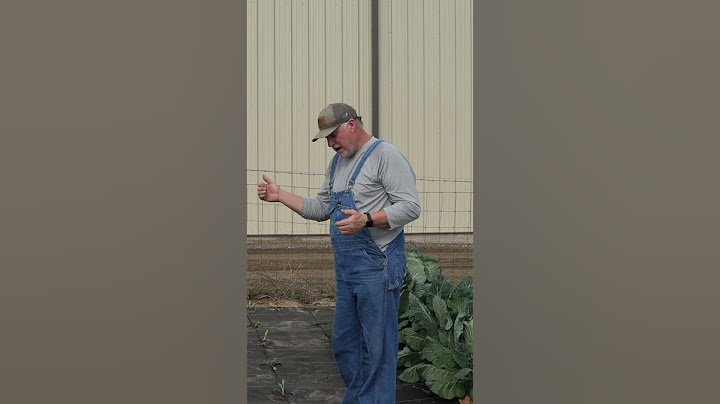 You Don't Have To Plant Your Vegetables All At Once!