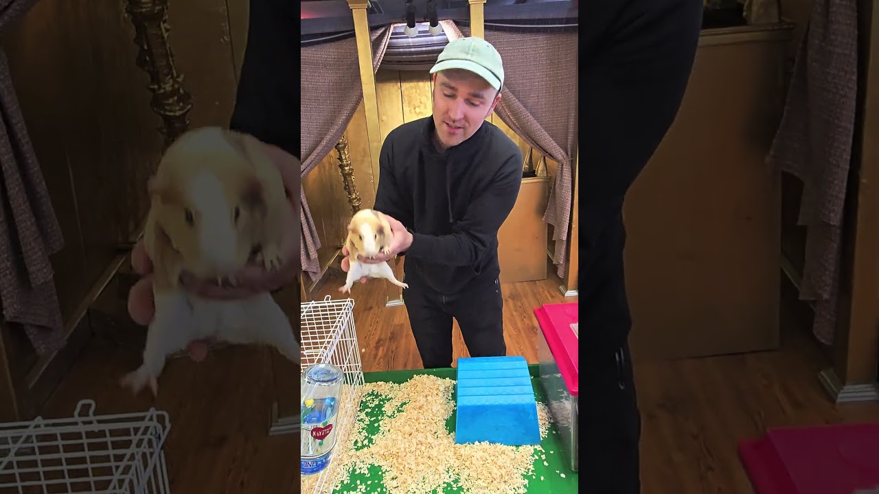 Bible Adventure Land