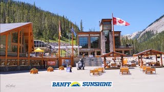 High in Mountains  Banff SUNSHINE VILLAGE Gondola and Sunshine Meadows in Banff National Park 4K