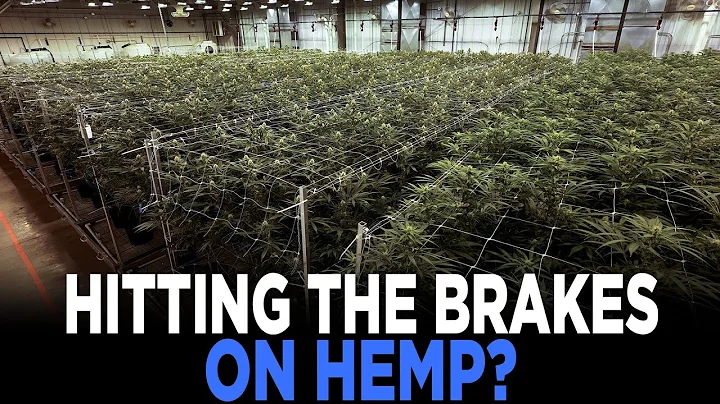 Federal THC Ban Sends Hemp Companies Scrambling | TRENDING