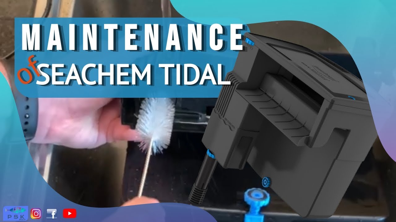 MAINTENANCE of the SEACHEM TIDAL - Cleaning and Maintenance. - YouTube