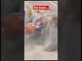 The Heartbreaking Moment of Baby Monkey Punch #punch #babymonkey #heartbreaking