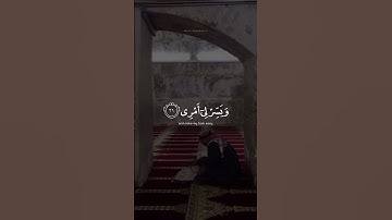 يا رب 🤍🤍 | اكتب شي تؤجر عليه | القارئ عبدالرحمن مسعد | قرآن كريم