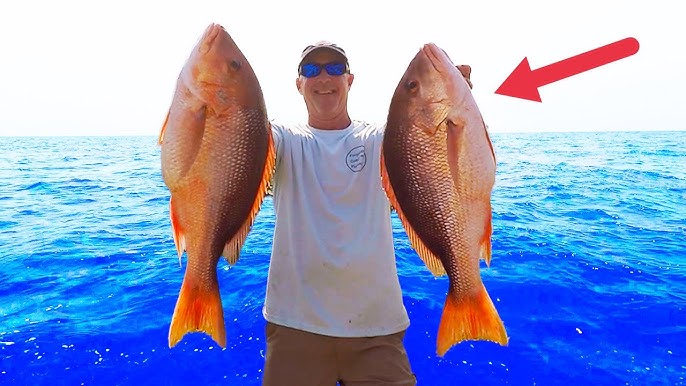 How-To Catch BIG RED SNAPPER-BEST BAIT & TACTICS Pro Guide TIPS