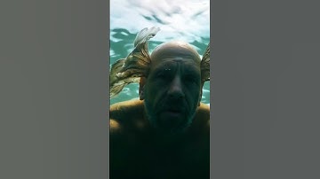 Fisherman #vfx #motion #sora #openai #ai #animation #hailuo #shorts  #arkatech #runwayml #minimax