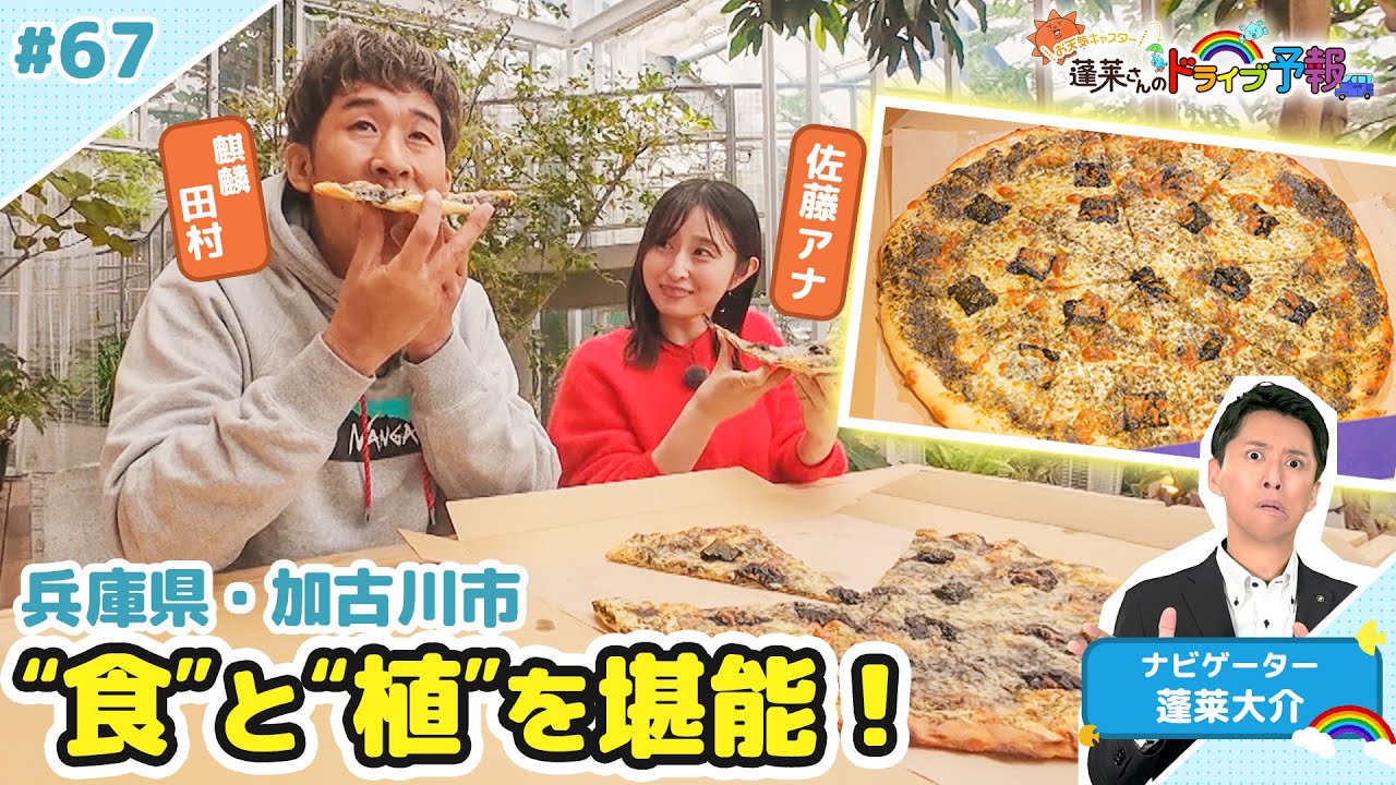 【蓬莱さんのドライブ予報＃６７】兵庫・加古川市 