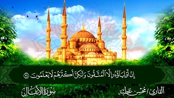 سورة الأنفال القارئ محسن عطية