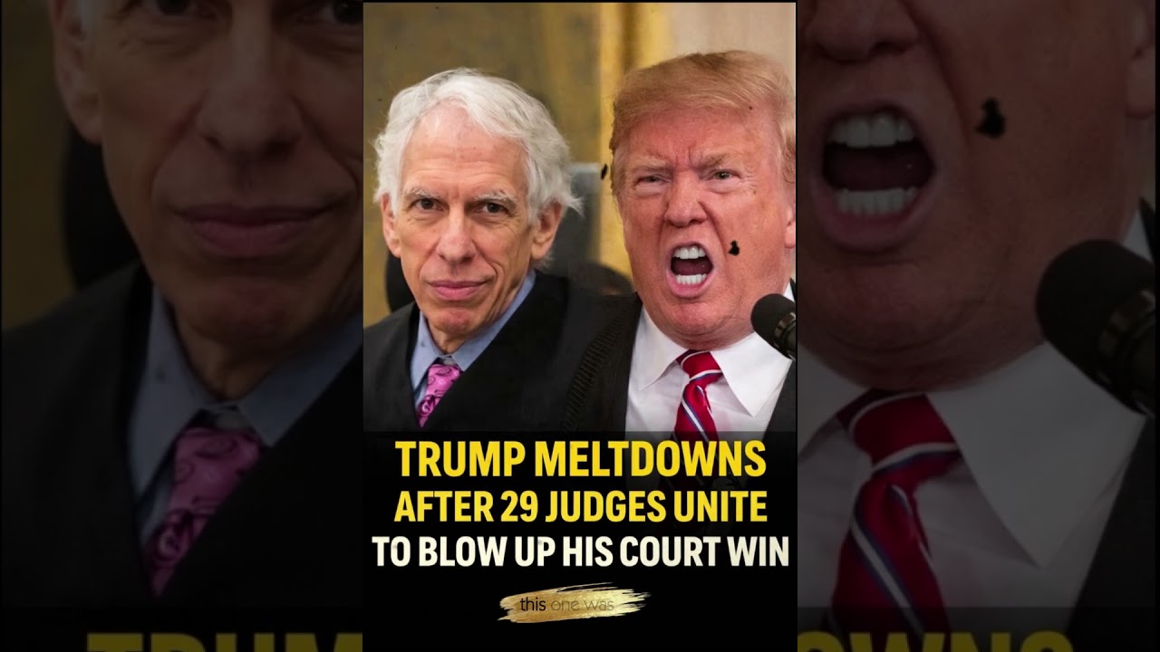 Trump MELTDOWNS After 29 Judges UNITE to Blow Up His Court Win