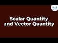 Scalar Quantity and Vector Quantity | Physics | Don't Memorise