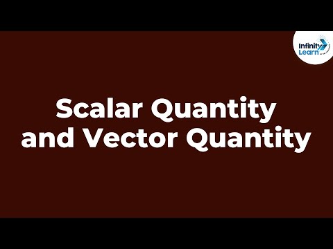 Scalar Quantity and Vector Quantity | Physics | Infinity Learn