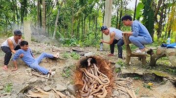 Cuộc Gọi Khẩn Cấp Của Người Dân Nhìn Thấy Rắn Hổ Mang Chúa Chui Vào Trong Khu Nhà Hoang
